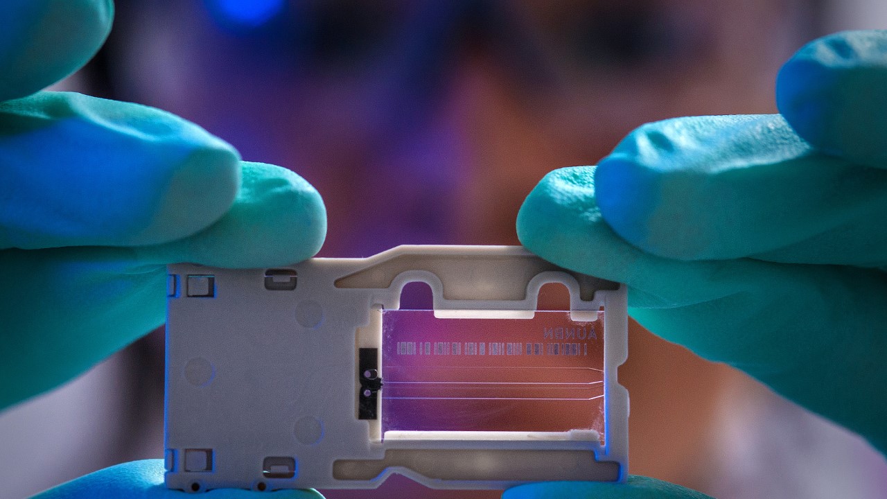 descrizione immagine